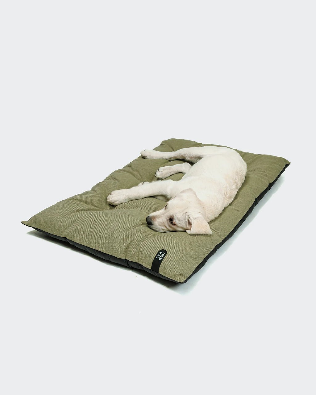 CLOUD7 Dog Bed RESC7UE Sage