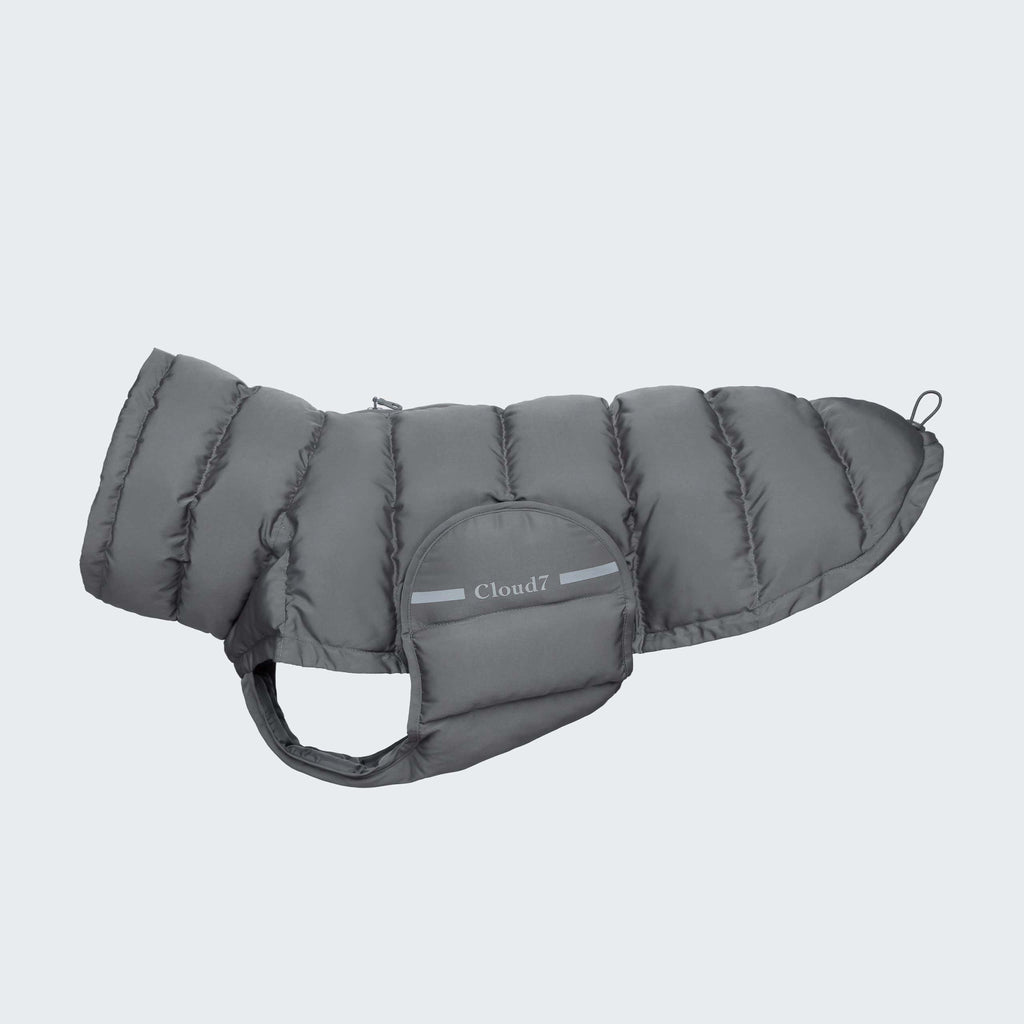 CLOUD7 Dog Coat Alaska Anthra