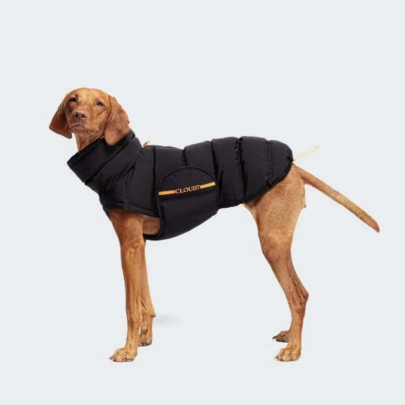 CLOUD7 Dog Coat Alaska Charcoal