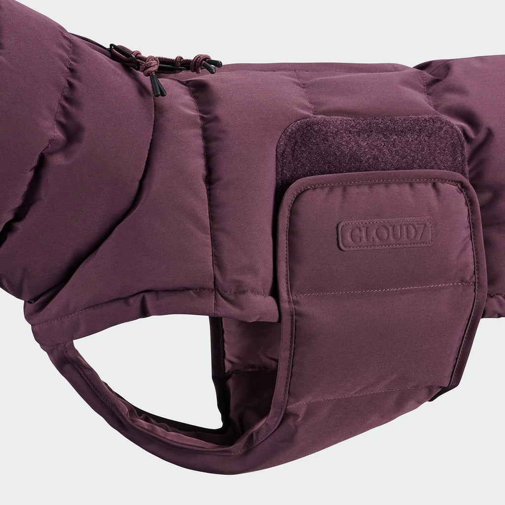 CLOUD7 Hundemantel Alaska DACKEL Dark Aubergine