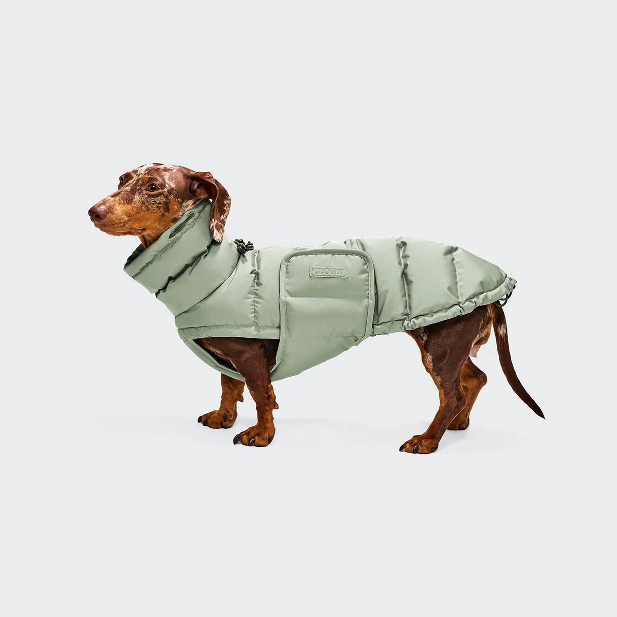 CLOUD7 Hundemantel Alaska DACKEL Dusty Mint