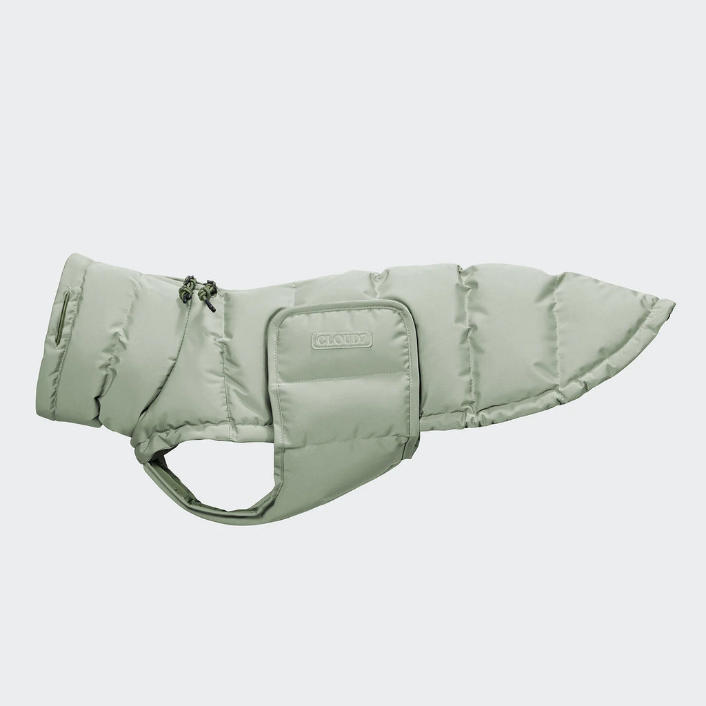 CLOUD7 Hundemantel Alaska DACKEL Dusty Mint