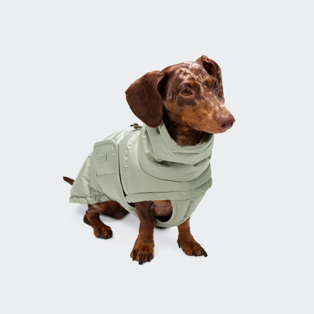 CLOUD7 Hundemantel Alaska DACKEL Dusty Mint