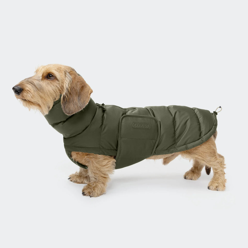 CLOUD7 Hundemantel Alaska DACKEL Light Olive