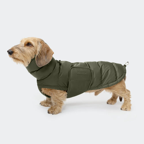 CLOUD7 Hundemantel Alaska DACKEL Light Olive