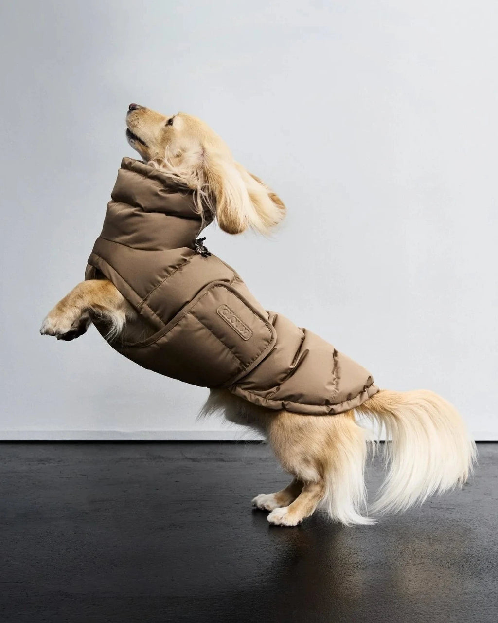 CLOUD7 Hundemantel Alaska DACKEL Sandy Brown