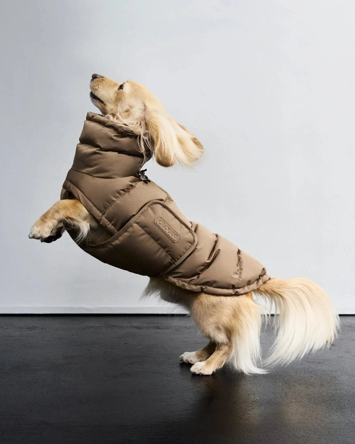 CLOUD7 Hundemantel Alaska DACKEL Sandy Brown