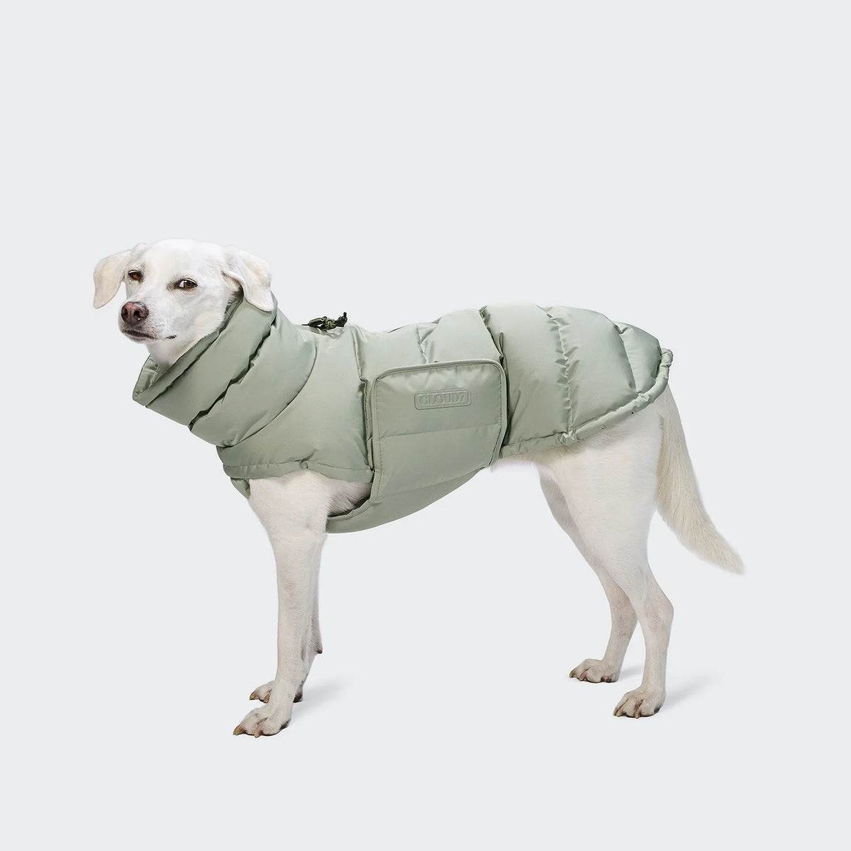 CLOUD7 Hundemantel Alaska Dusty Mint