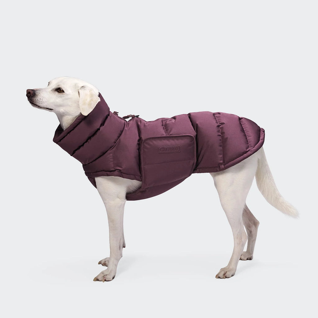 CLOUD7 Hundemantel Alaska Dark Aubergine