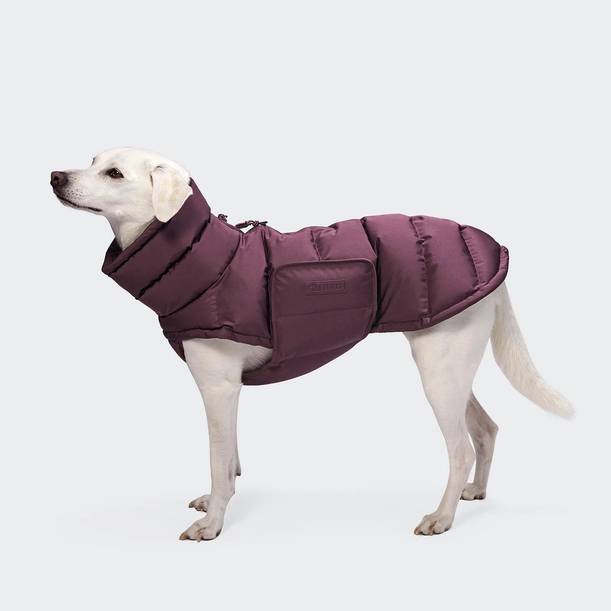 CLOUD7 Hundemantel Alaska Dark Aubergine