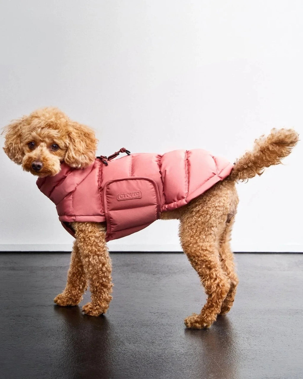 CLOUD7 Hundemantel Alaska Faded Rose