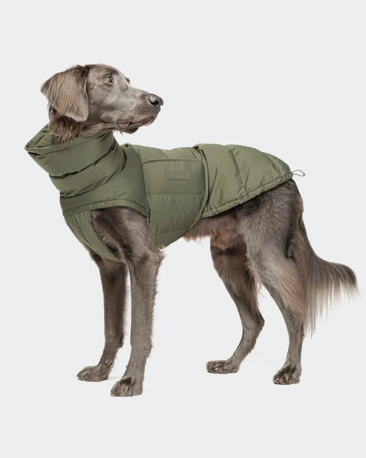 CLOUD7 Hundemantel Alaska Light Olive