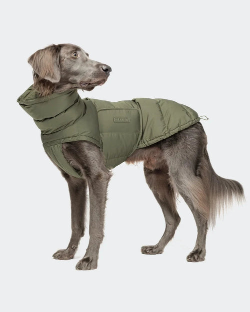 CLOUD7 Hundemantel Alaska Light Olive
