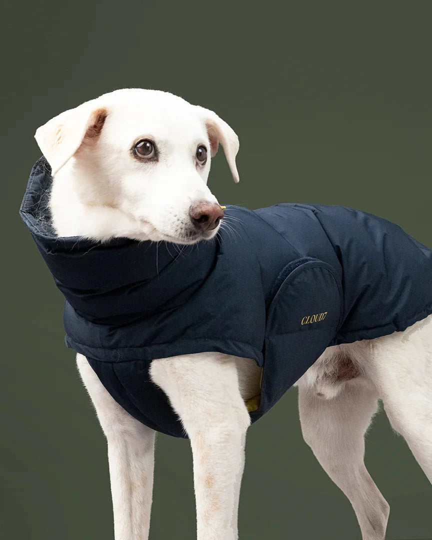 CLOUD7 Hundemantel Alaska PRO Navy