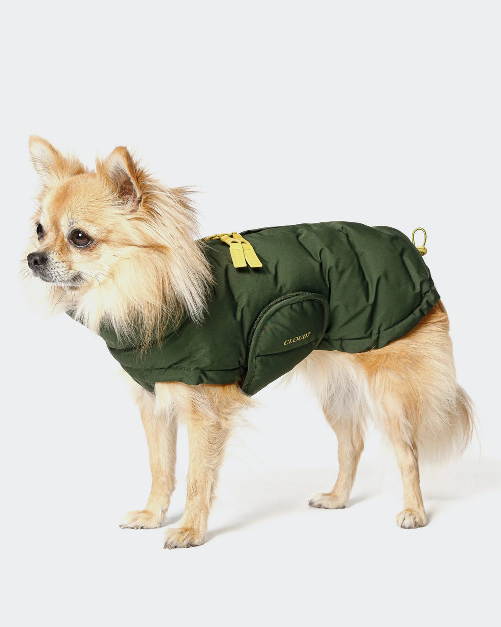 CLOUD7 Hundemantel Alaska PRO Olive