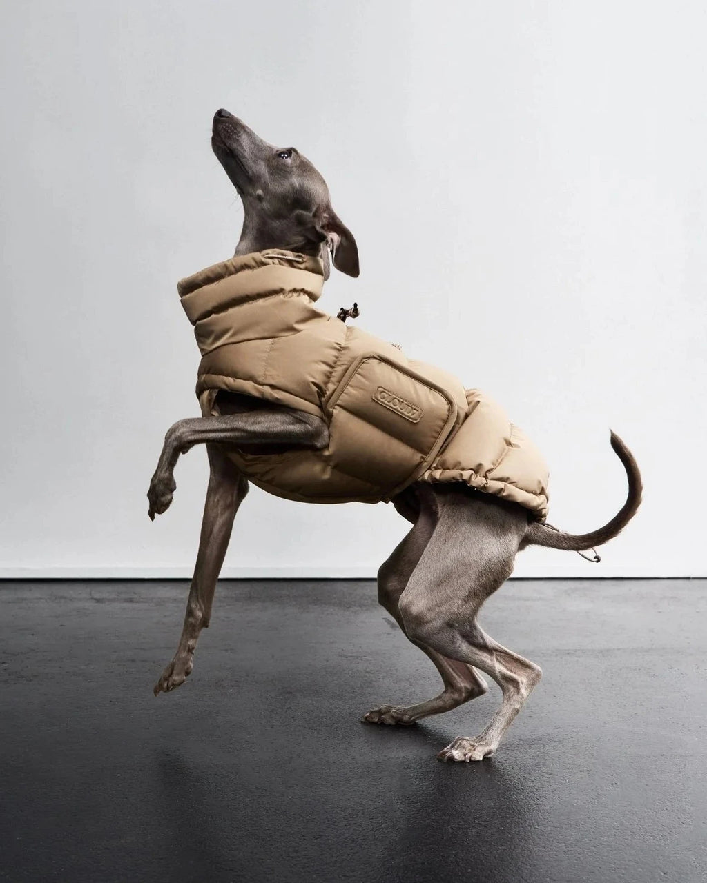CLOUD7 Hundemantel Alaska Sandy Brown
