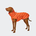 CLOUD7 Hundemantel Alaska Seersucker Orange