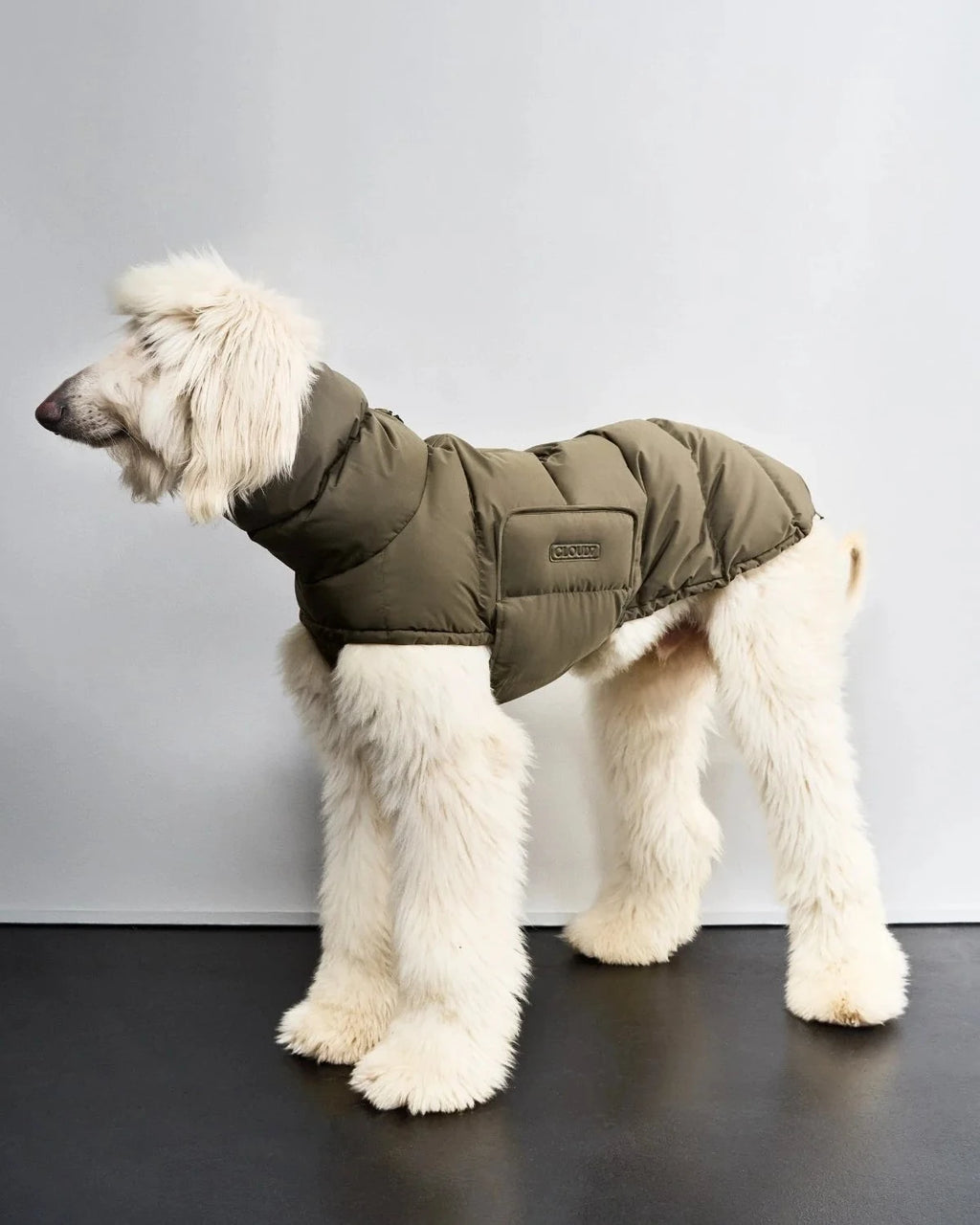 CLOUD7 Hundemantel Alaska WINDHUND Light Olive