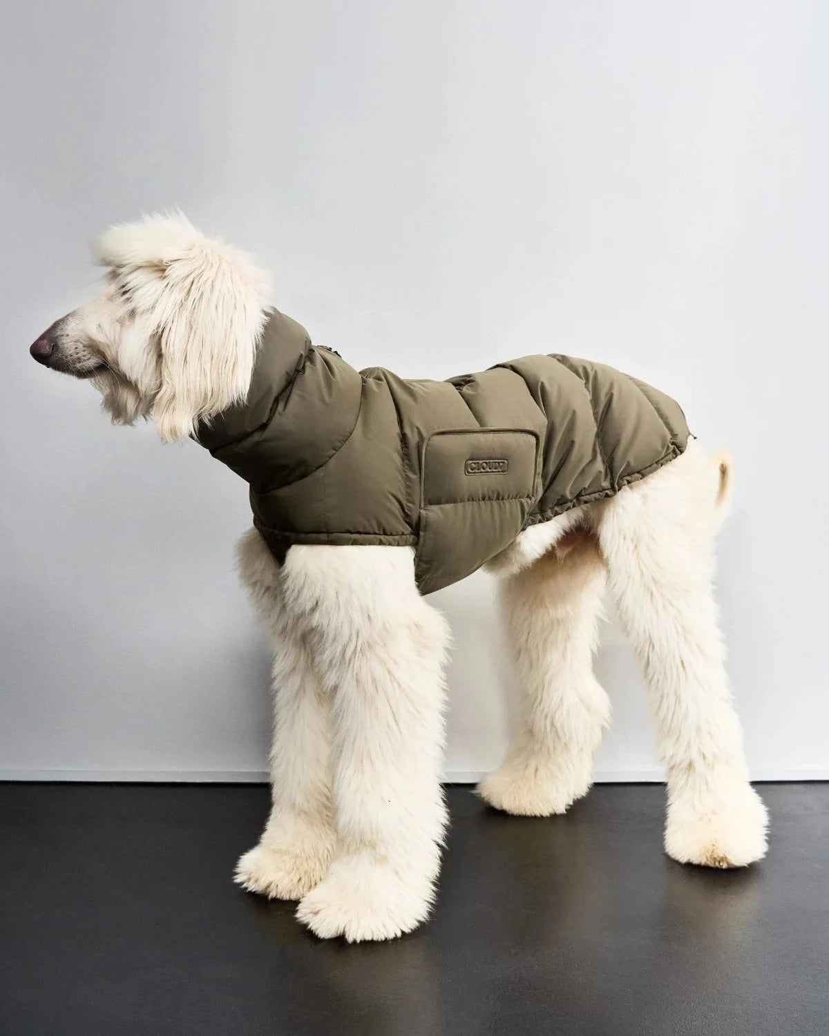 CLOUD7 Hundemantel Alaska WINDHUND Light Olive
