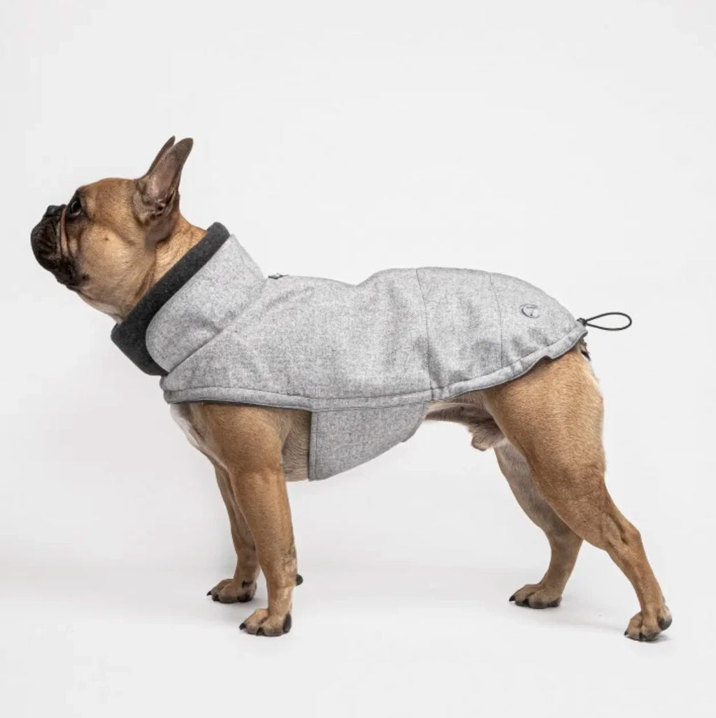 CLOUD7 Hundemantel Brooklyn BULLDOGGE Flanell Grey Gr.5