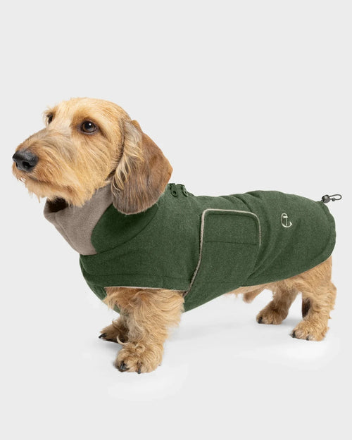 CLOUD7 Hundemantel Brooklyn DACKEL Fern Green