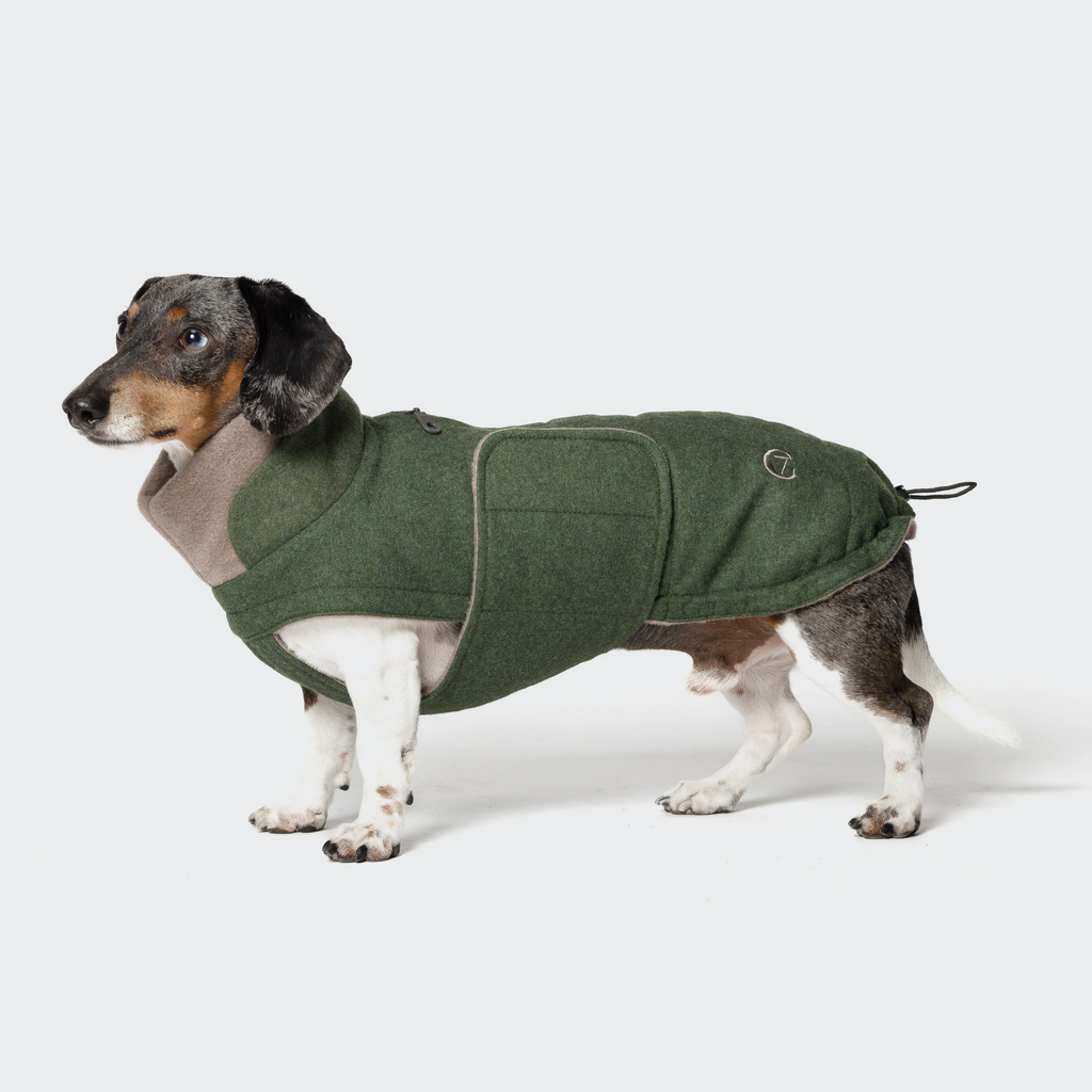 CLOUD7 Hundemantel Brooklyn DACKEL Fern Green