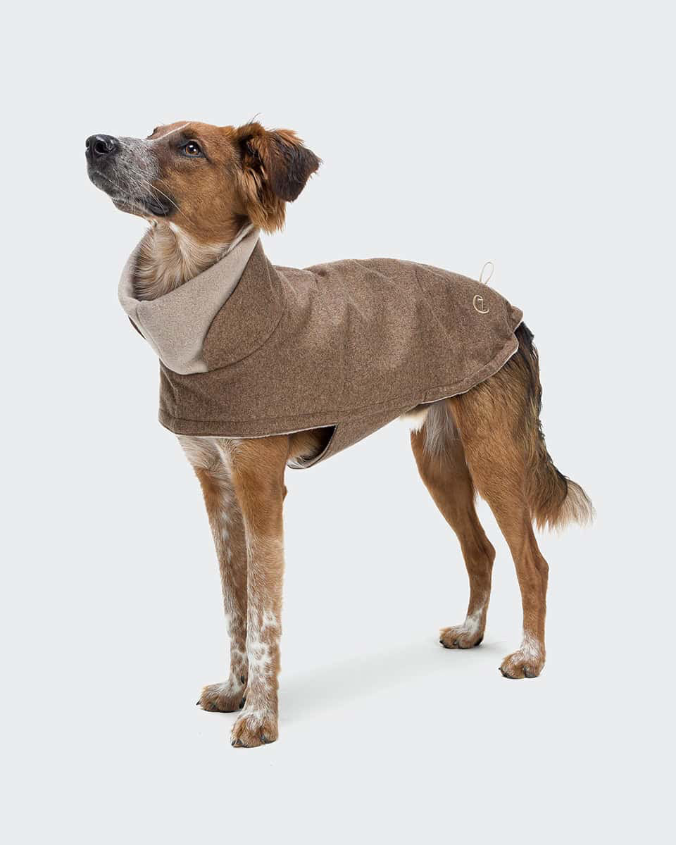 CLOUD7 Hundemantel Brooklyn Flanell Hazel