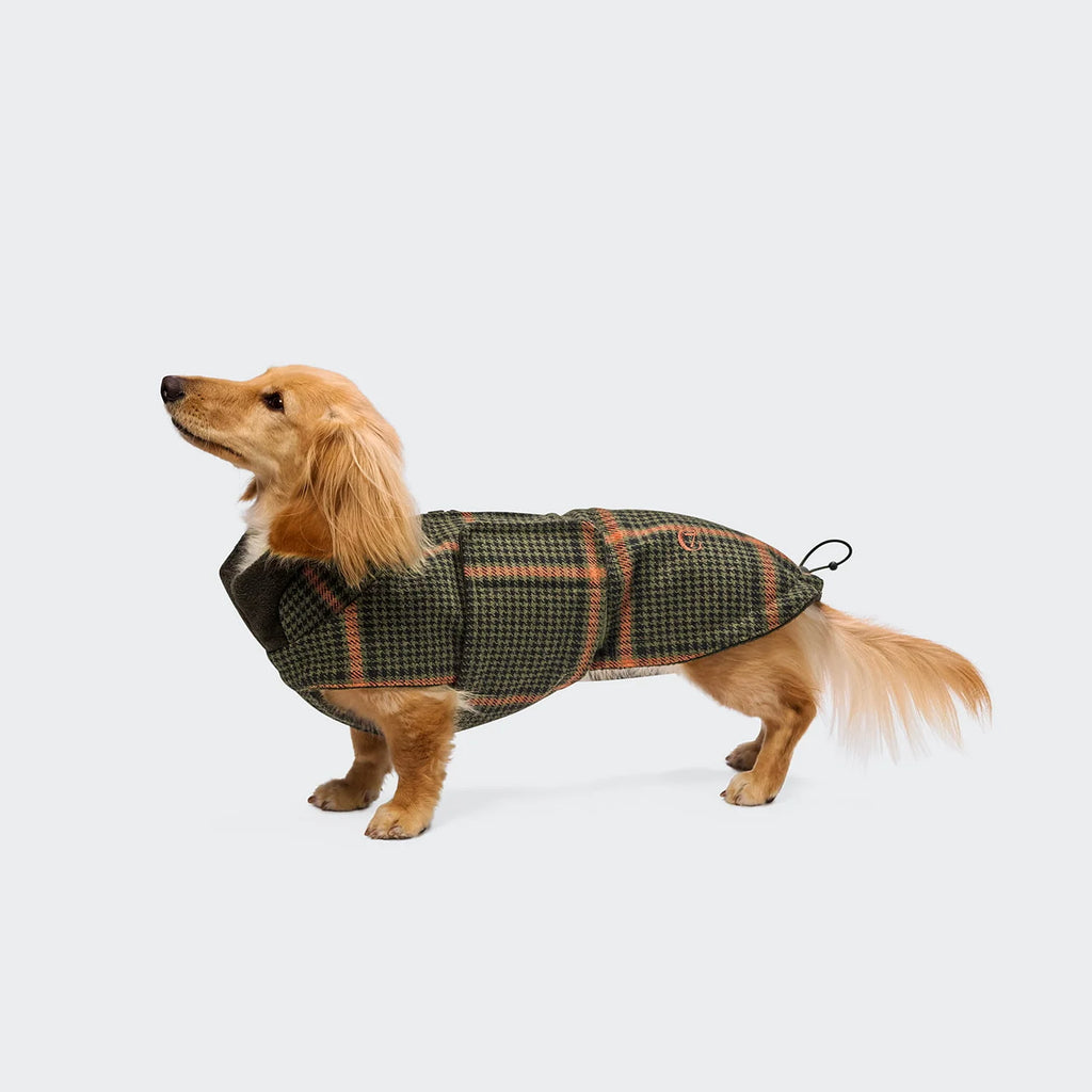 CLOUD7 Hundemantel Brooklyn DACKEL Flanell Tartan Green