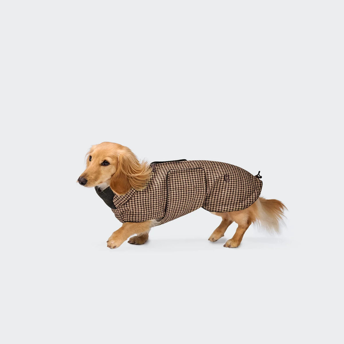 CLOUD7 Hundemantel Brooklyn DACKEL Houndstooth