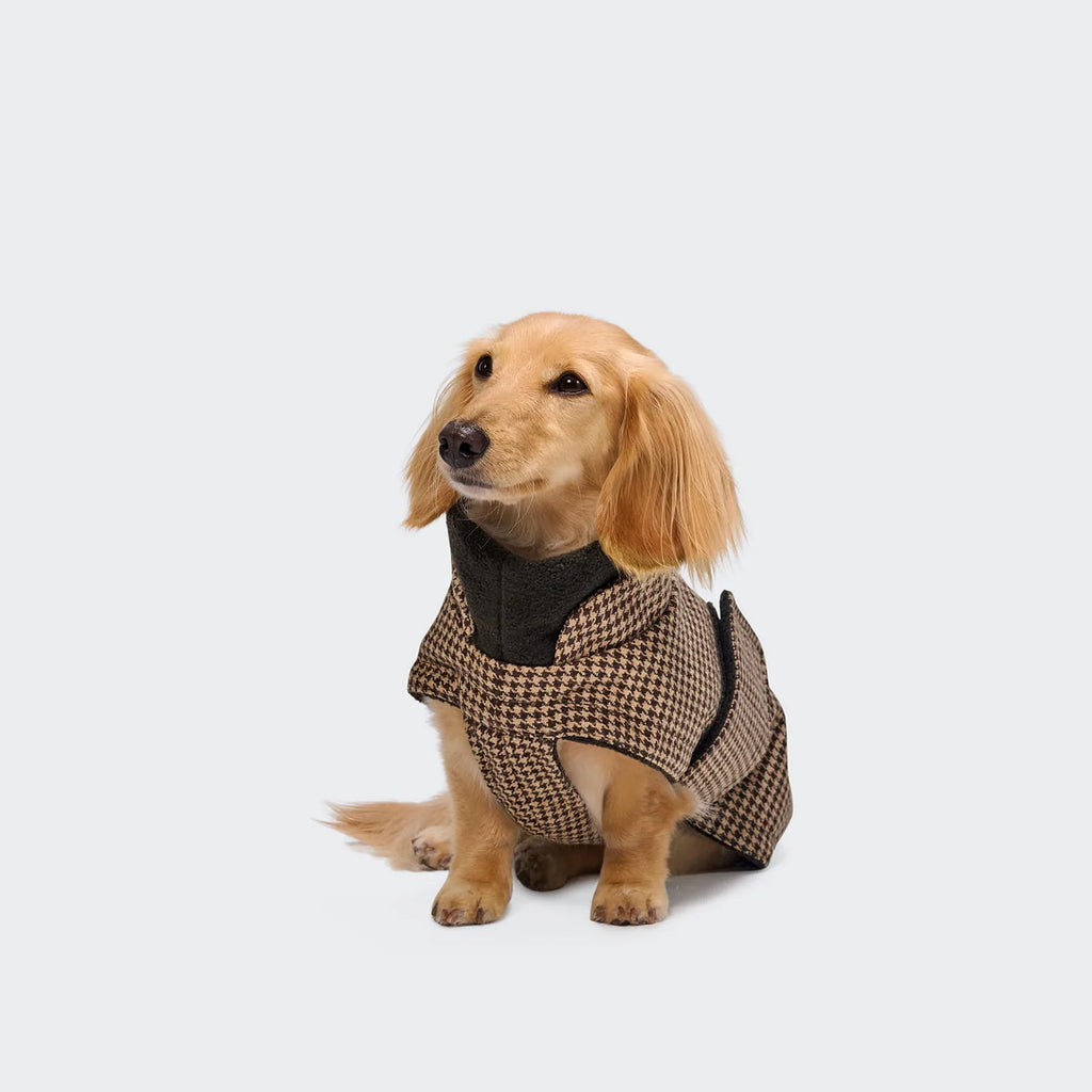 CLOUD7 Hundemantel Brooklyn DACKEL Houndstooth