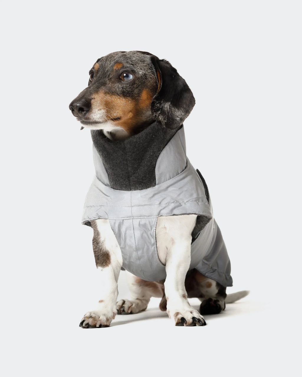 CLOUD7 Hundemantel Brooklyn DACKEL Reflective