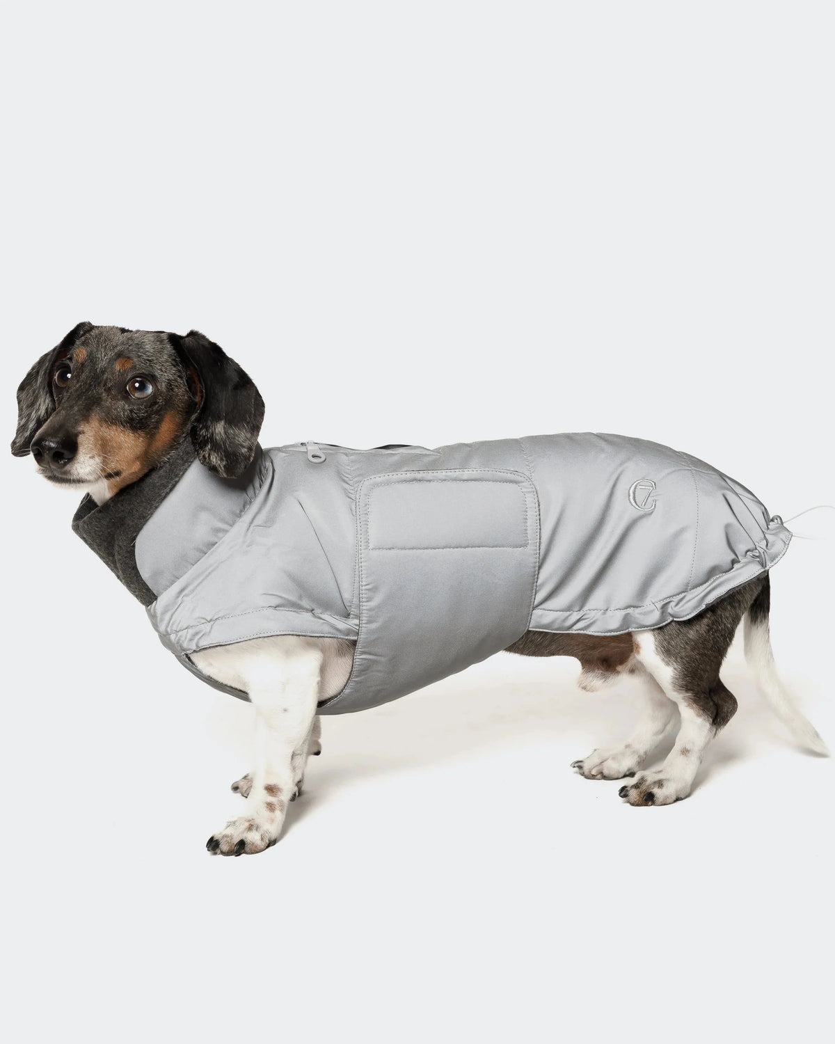 CLOUD7 Hundemantel Brooklyn DACKEL Reflective