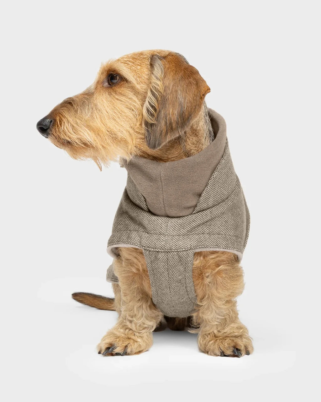 CLOUD7 Dog Coat Brooklyn DACHSHUND Tweed Beige