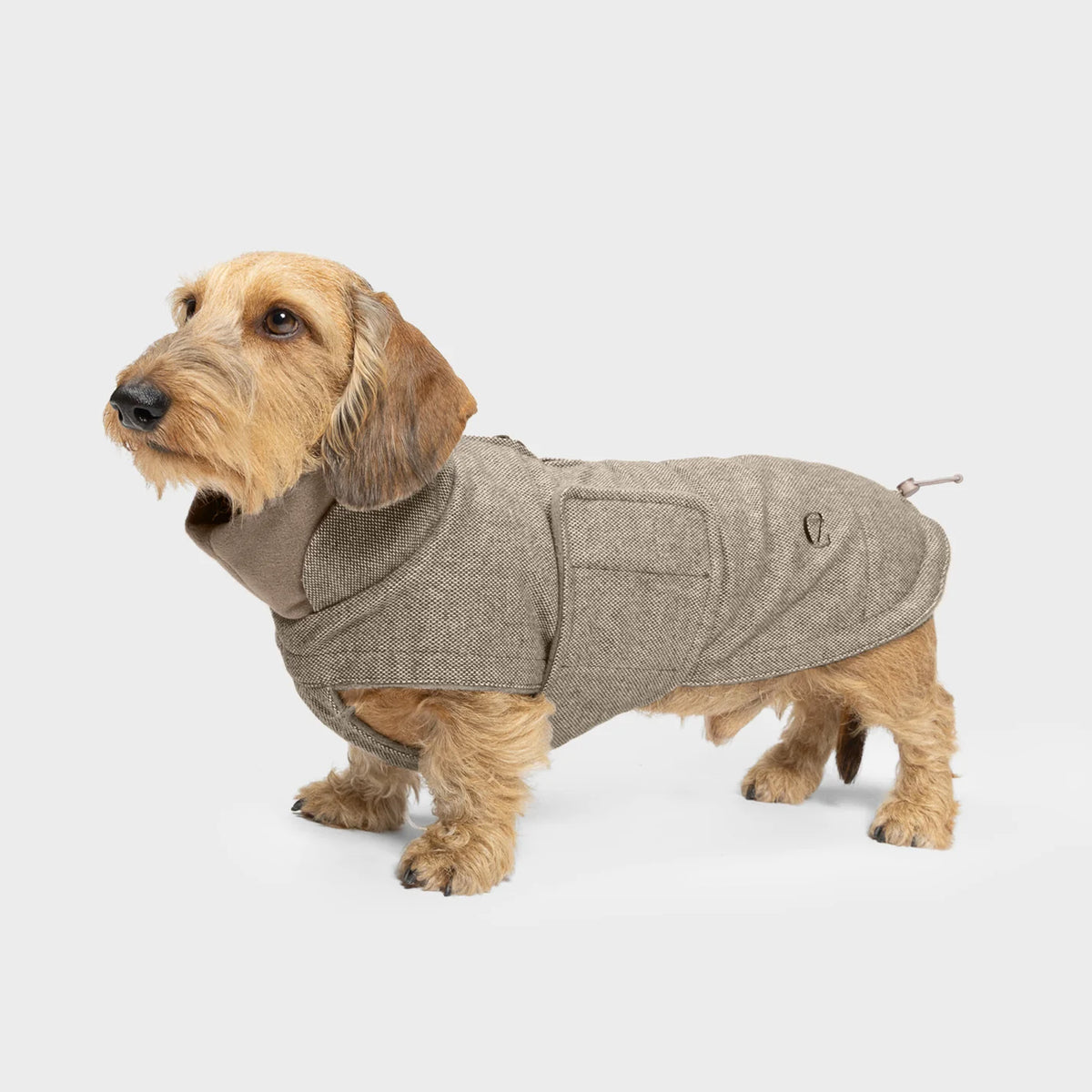 CLOUD7 Dog Coat Brooklyn DACHSHUND Tweed Beige
