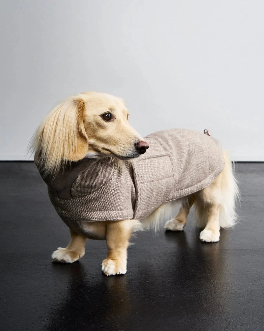 CLOUD7 Dog Coat Brooklyn DACHSHUND Tweed Beige