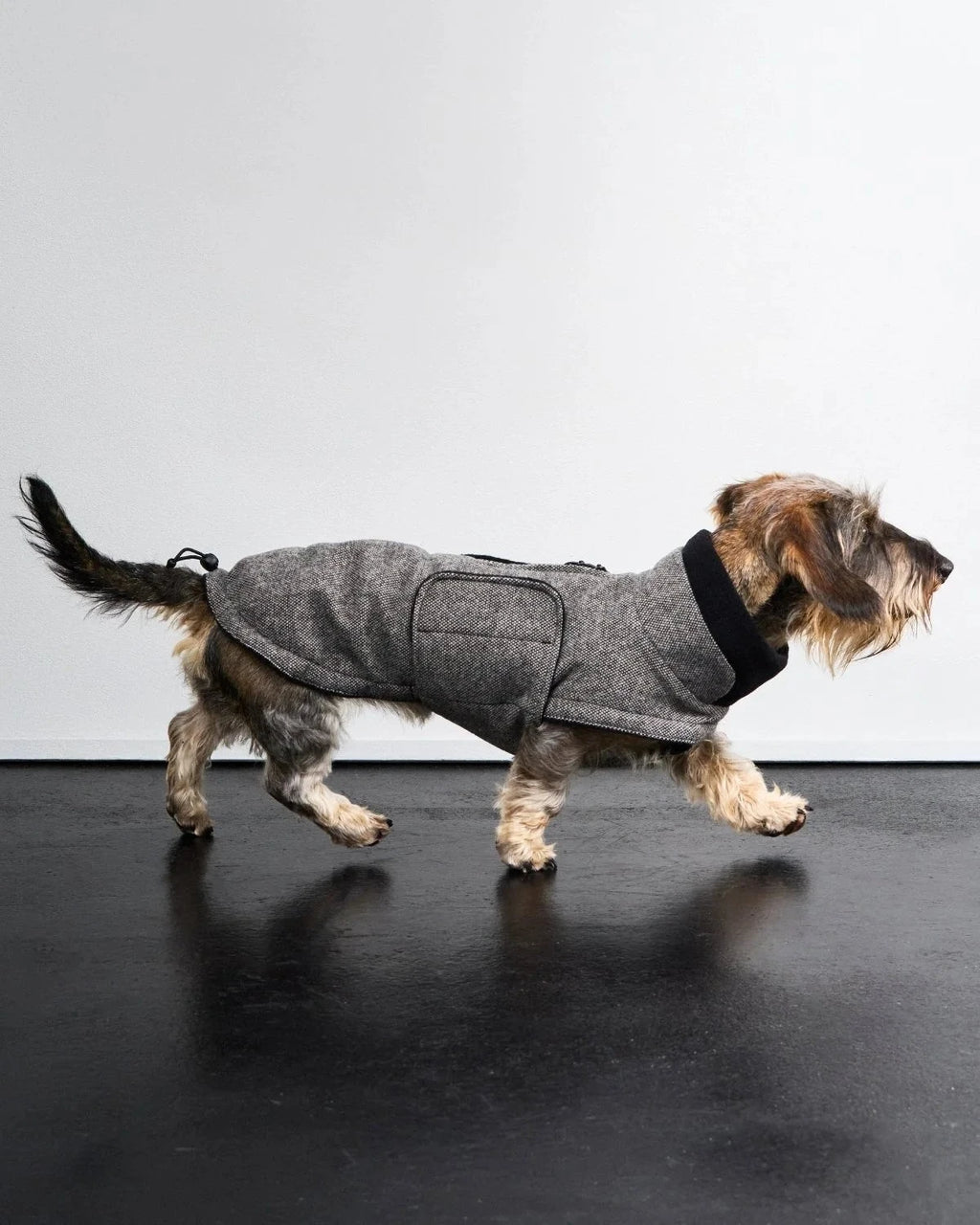 CLOUD7 Hundemantel Brooklyn DACKEL Tweed Black