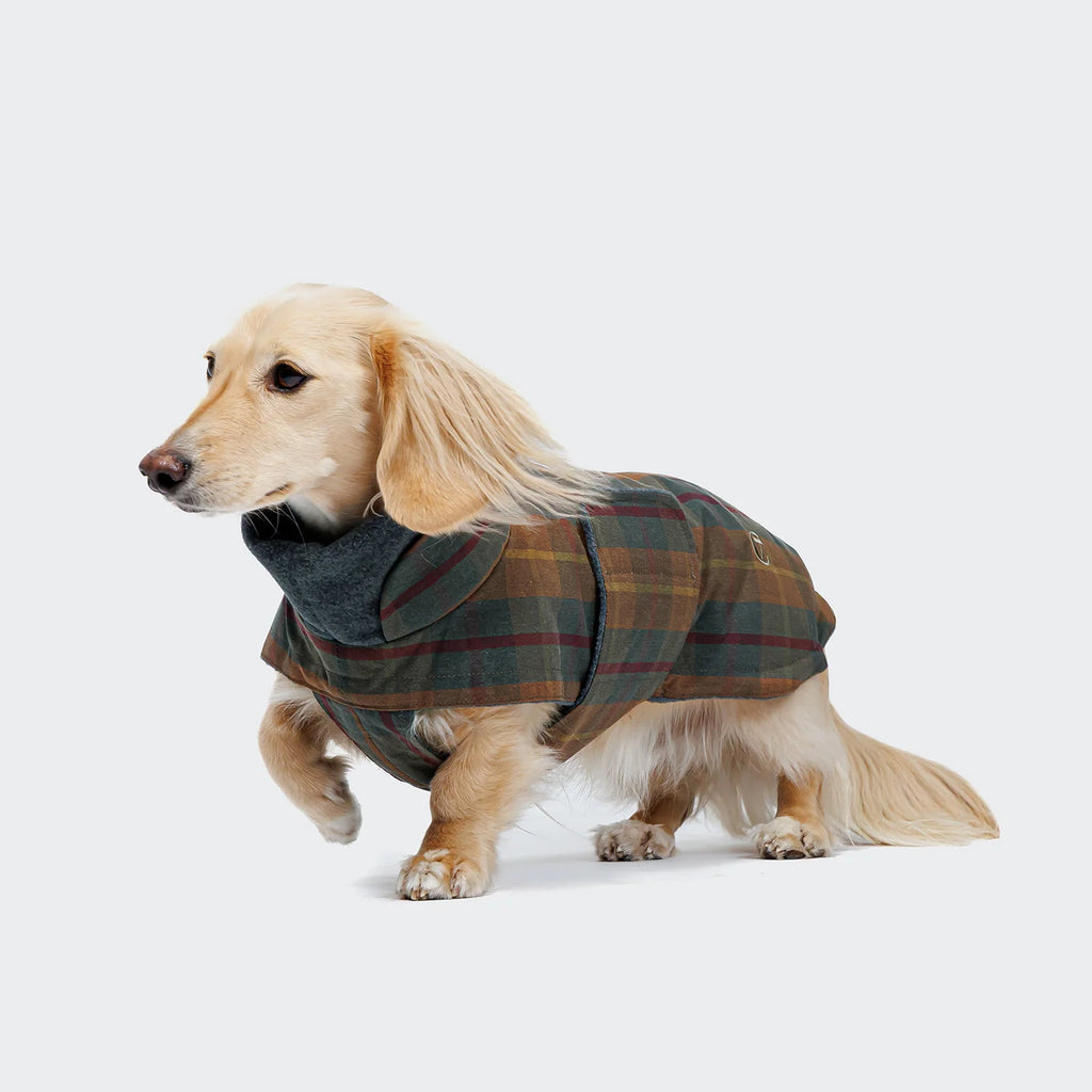 CLOUD7 Hundemantel Brooklyn DACKEL Waxed Tartan