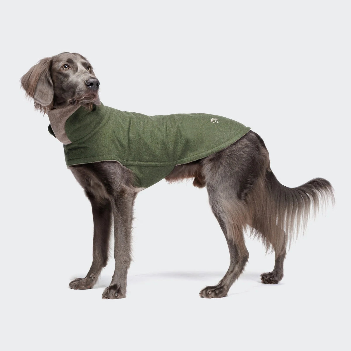 CLOUD7 Hundemantel Brooklyn Fern Green