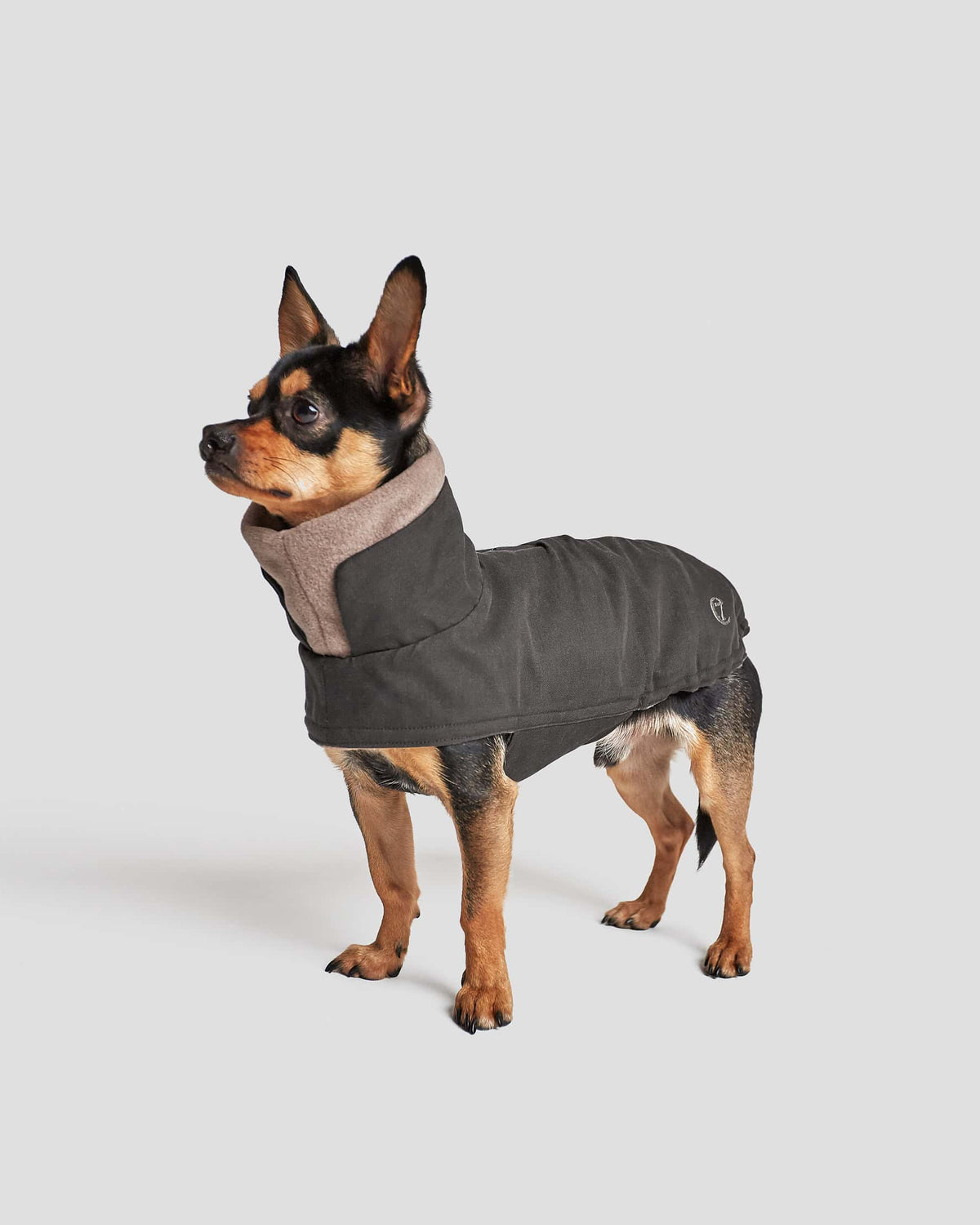 CLOUD7 Dog Coat Brooklyn Graphite
