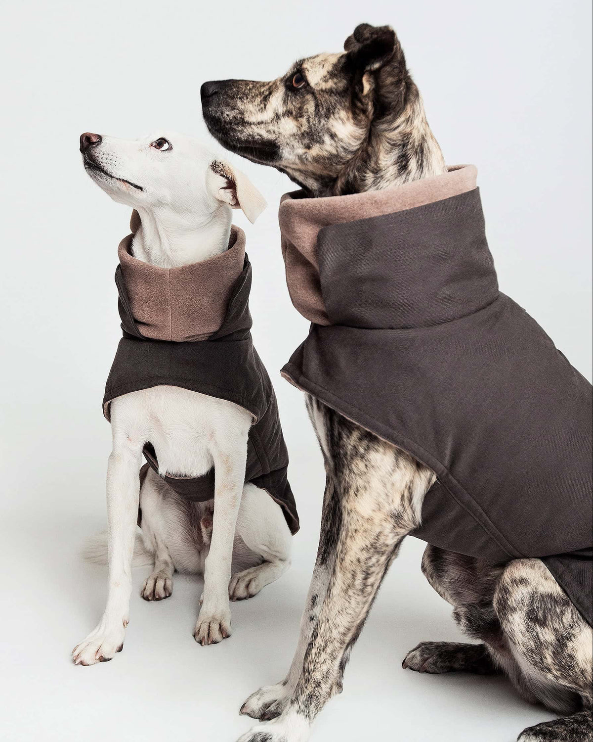 CLOUD7 Dog Coat Brooklyn Graphite