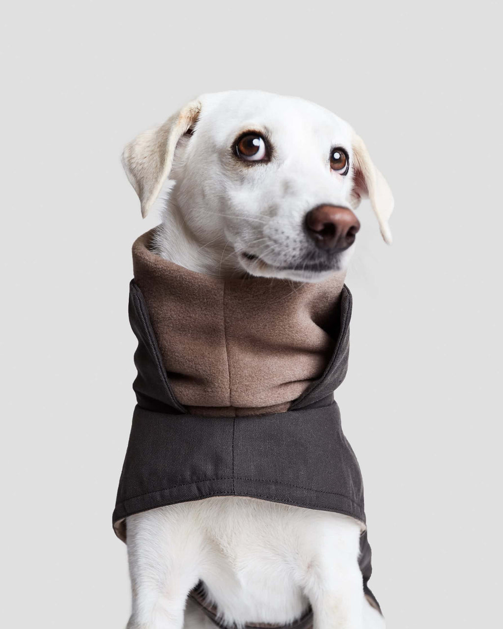 CLOUD7 Dog Coat Brooklyn Graphite