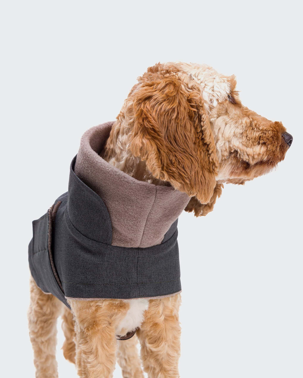 CLOUD7 Dog Coat Brooklyn Graphite