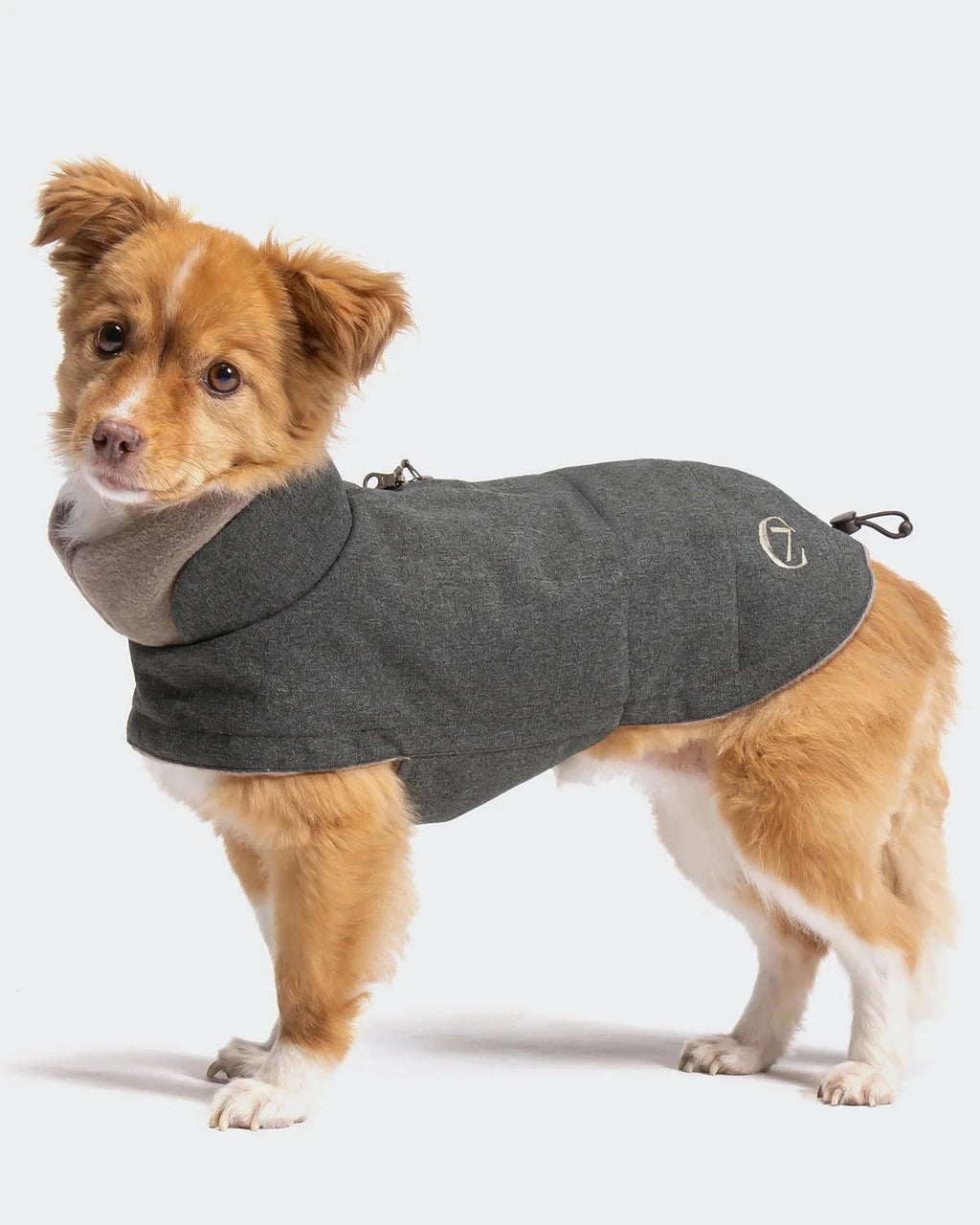 CLOUD7 Hundemantel Brooklyn Light Graphit