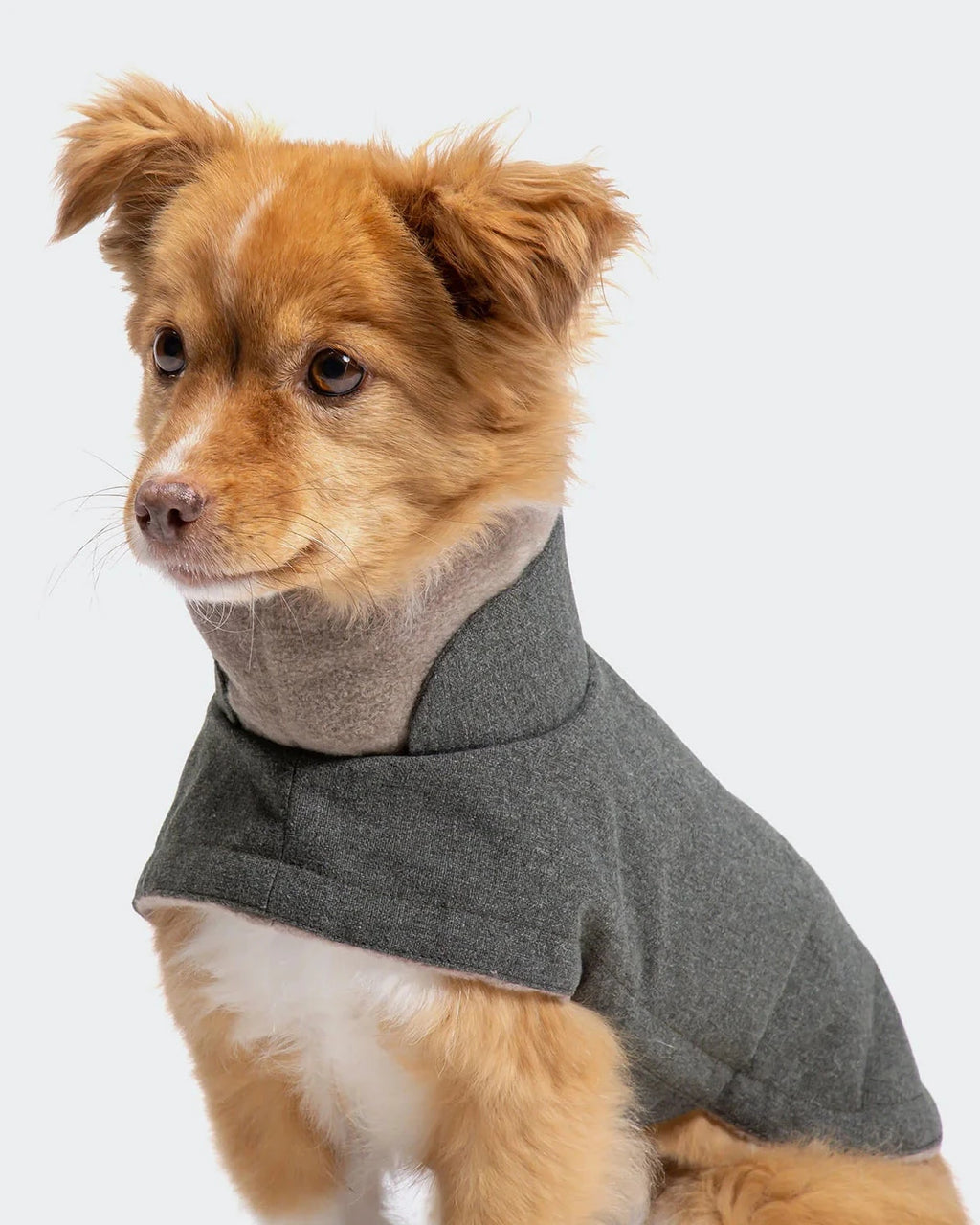 CLOUD7 Hundemantel Brooklyn Light Graphit