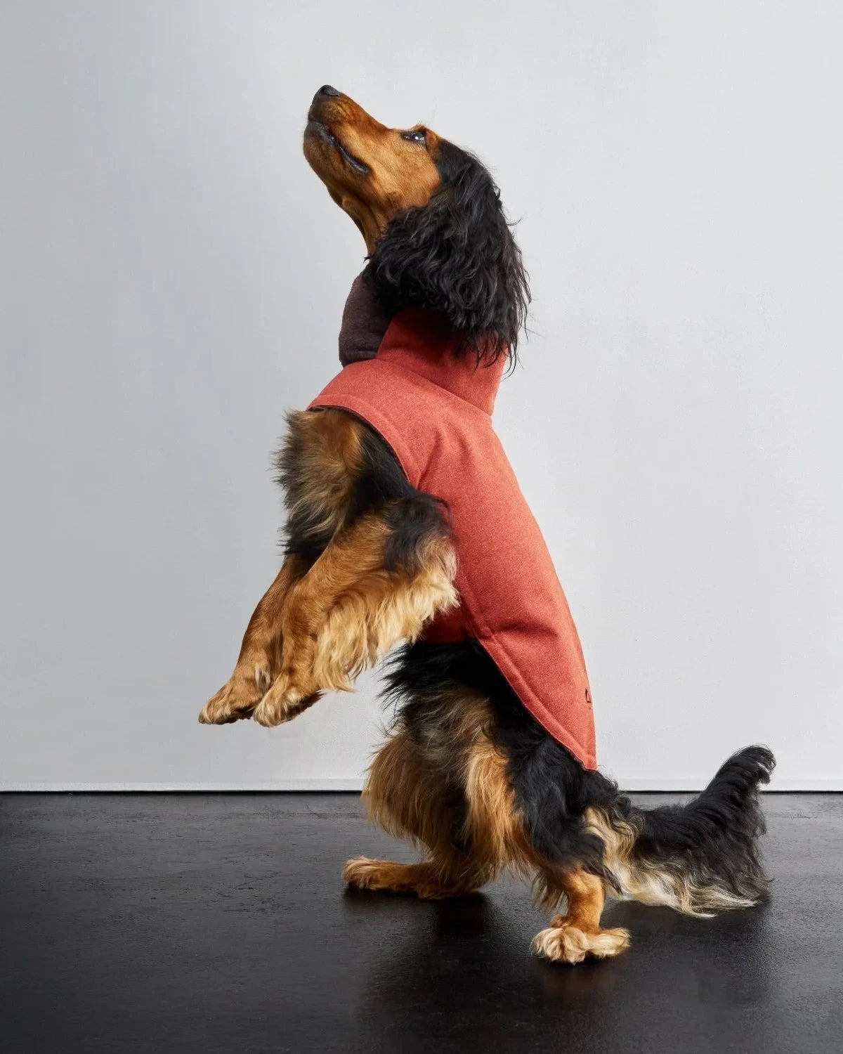 CLOUD7 Hundemantel Brooklyn Rust