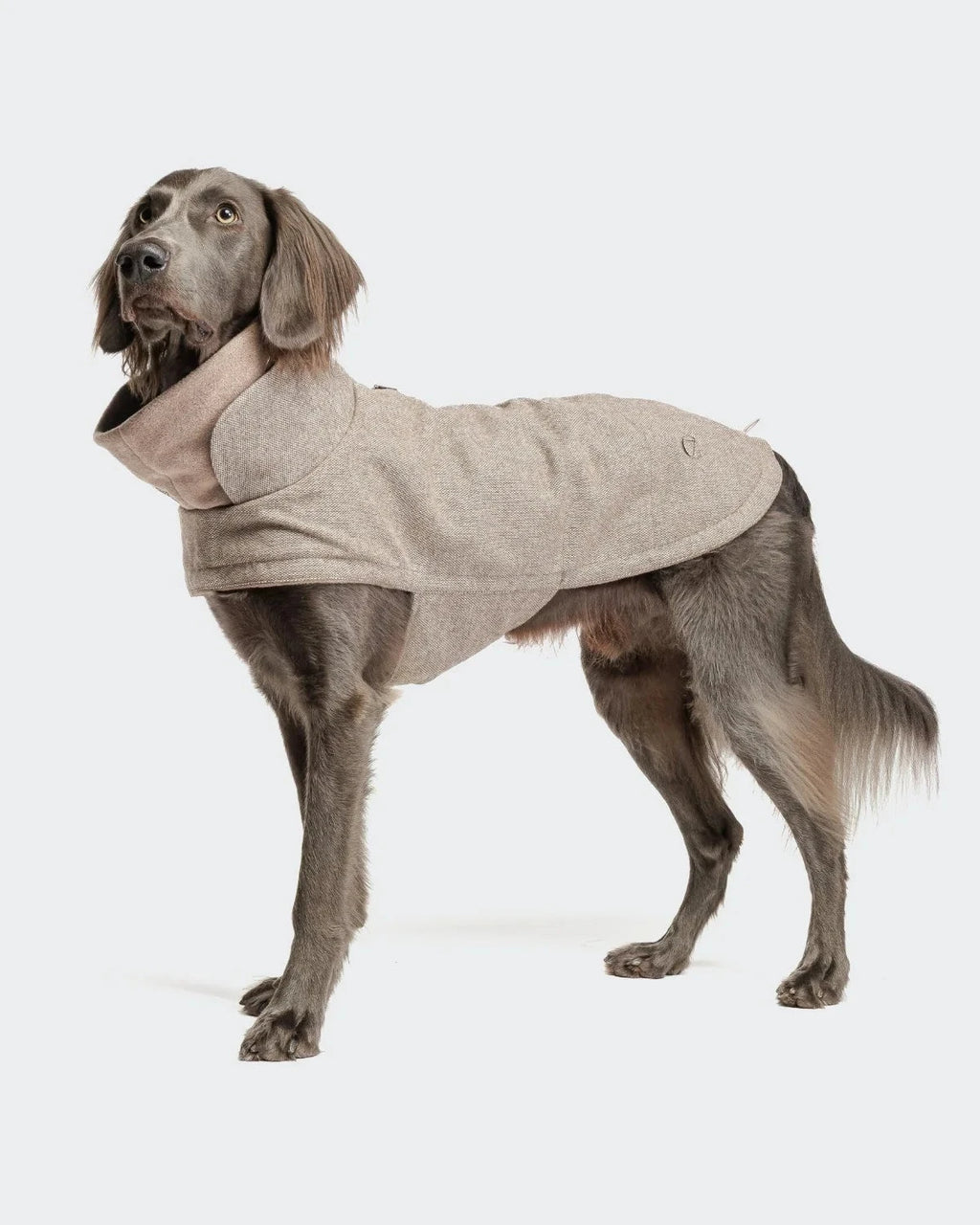 CLOUD7 Hundemantel Brooklyn Tweed Beige