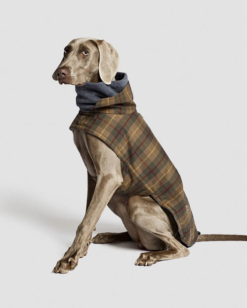 CLOUD7 Hundemantel Brooklyn Waxed Tartan