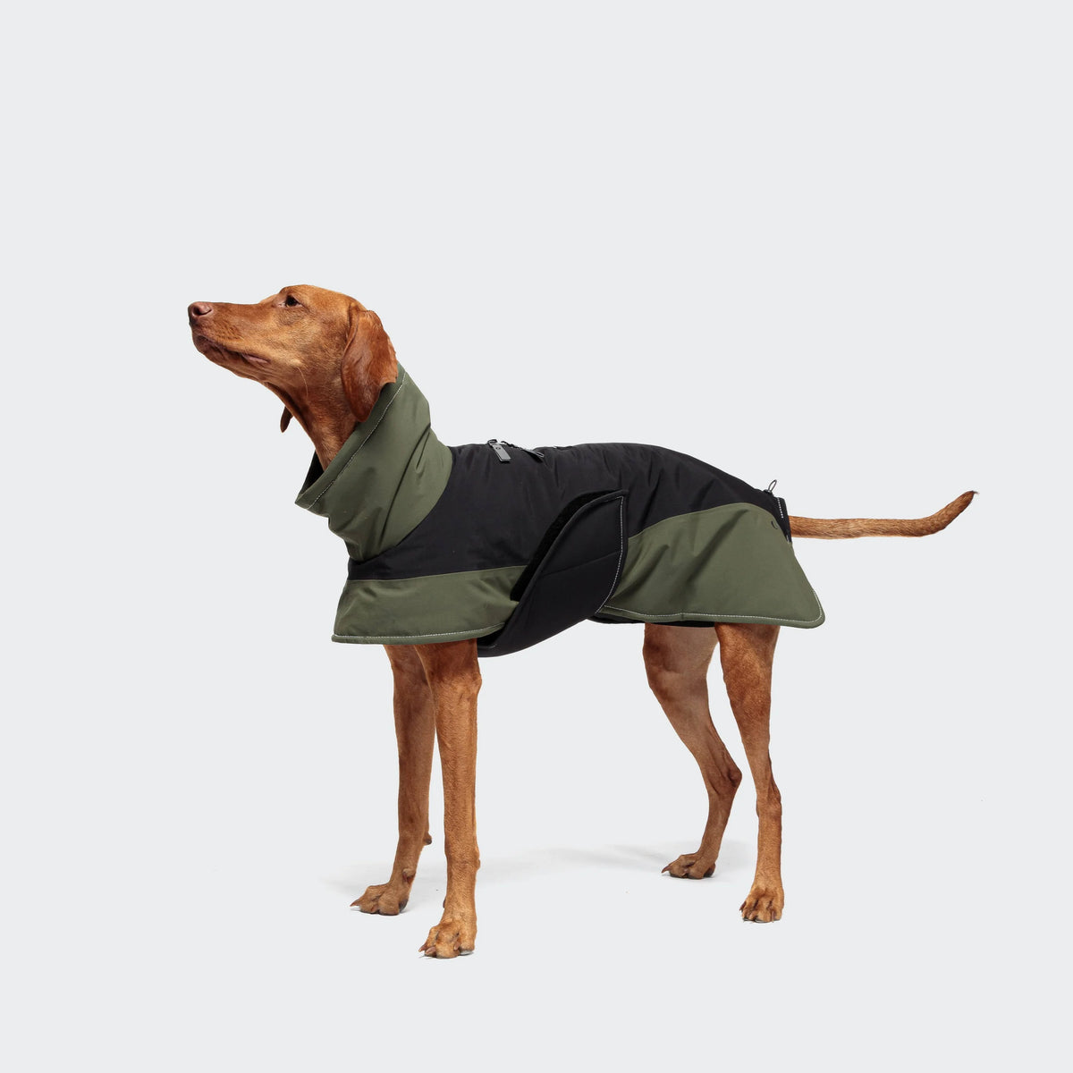 CLOUD7 Hundemantel Everest Black/Olive