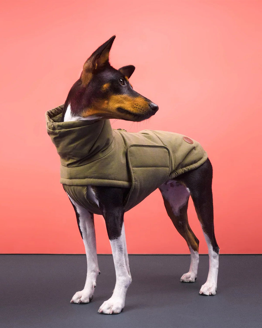 CLOUD7 Hundemantel Yukon Khaki
