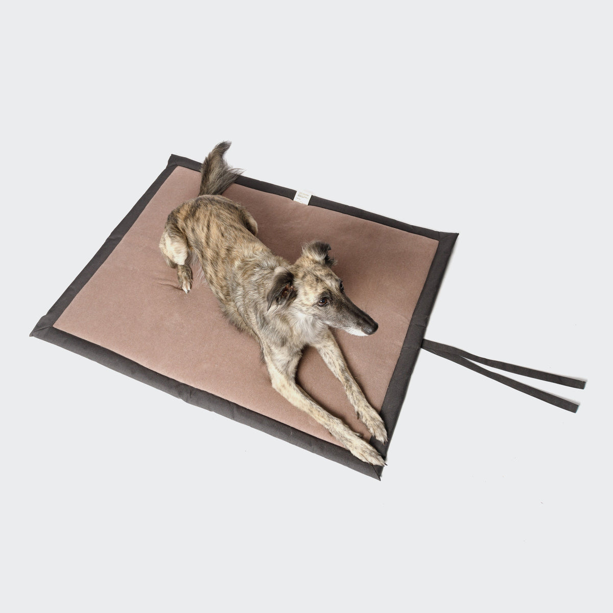 CLOUD7 Hundematte Wasserabweisend Graphit